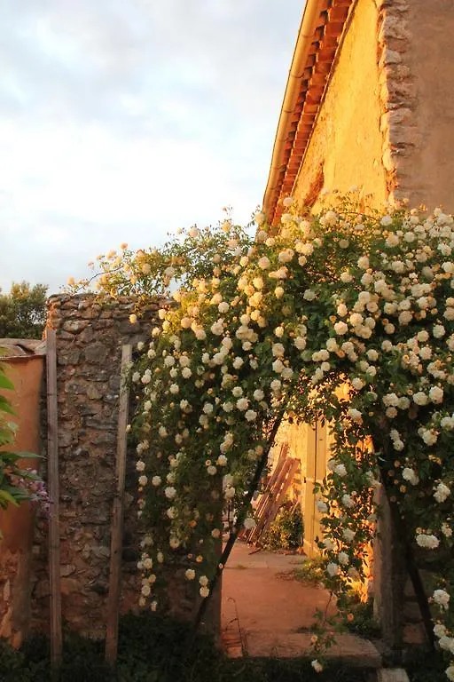 Domaine de la Blaque - B&B Varages France