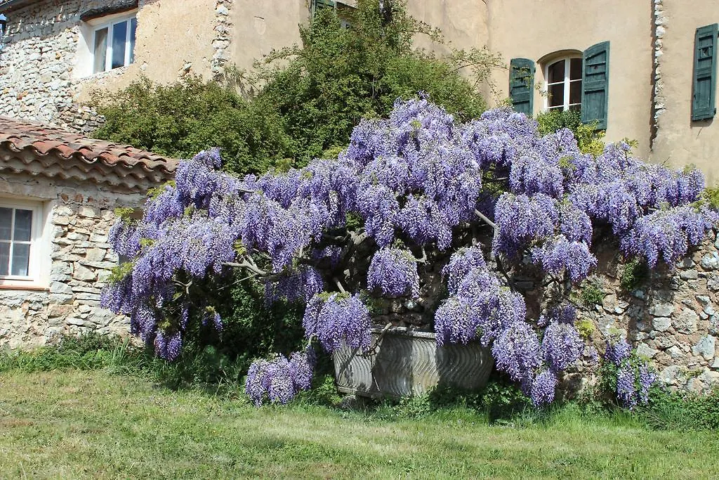 Domaine de la Blaque - B&B Varages 0*,