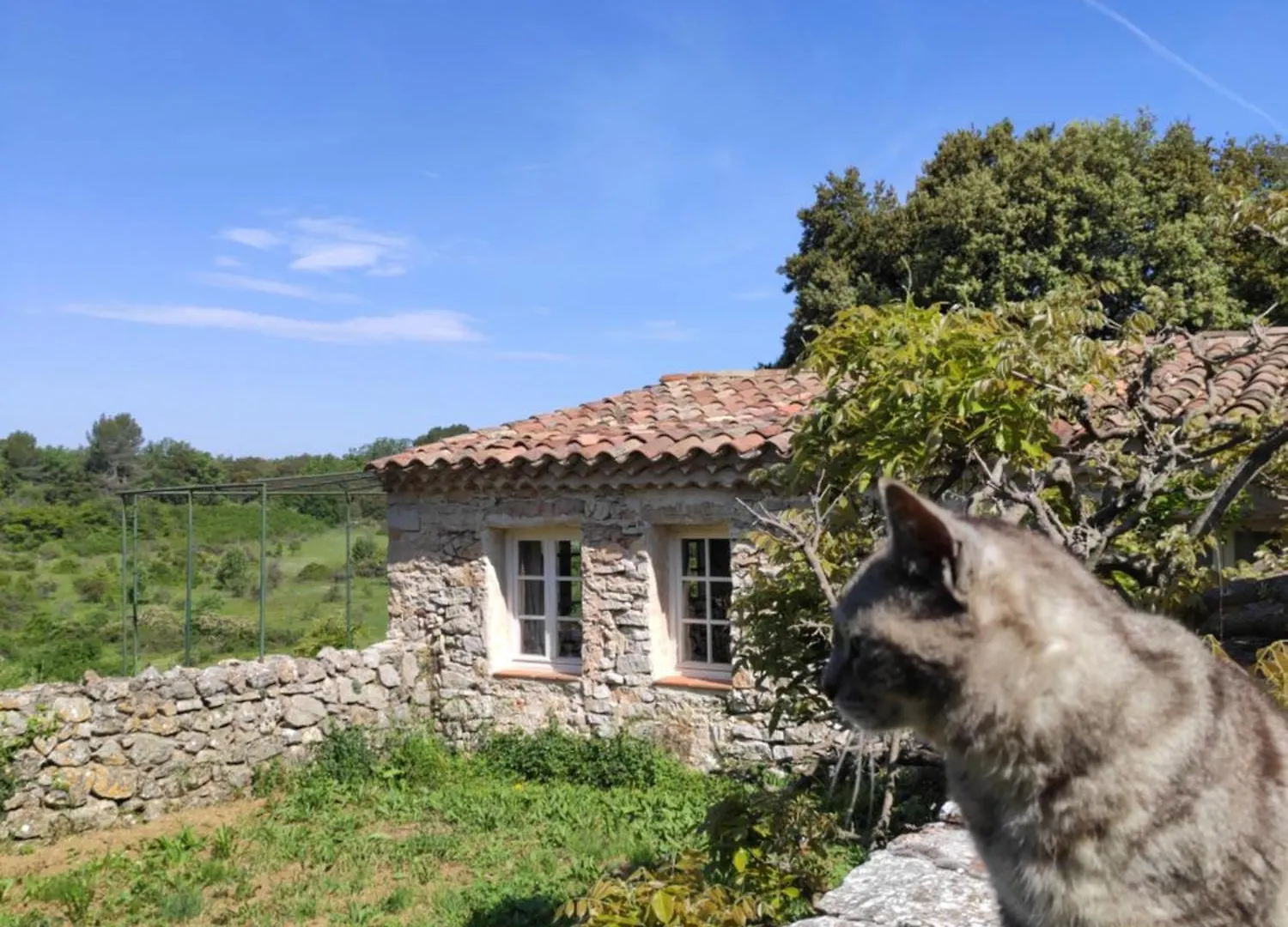 Domaine de la Blaque - B&B Varages